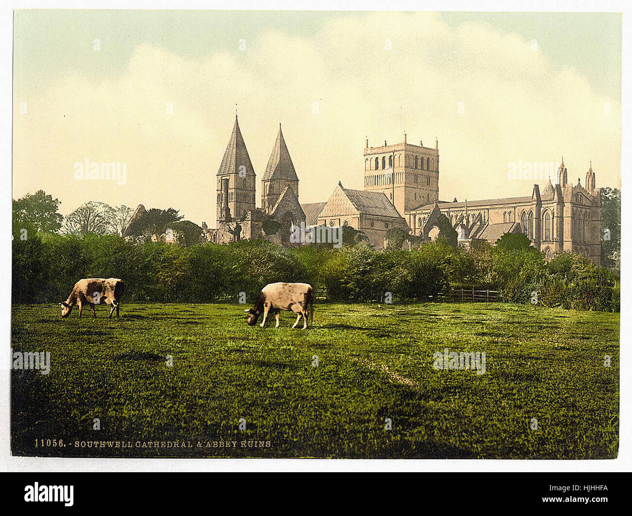 Southwell Cattedrale e le rovine dell'abbazia, Notts, Inghilterra - Photochrom XIX SECOLO Foto Stock