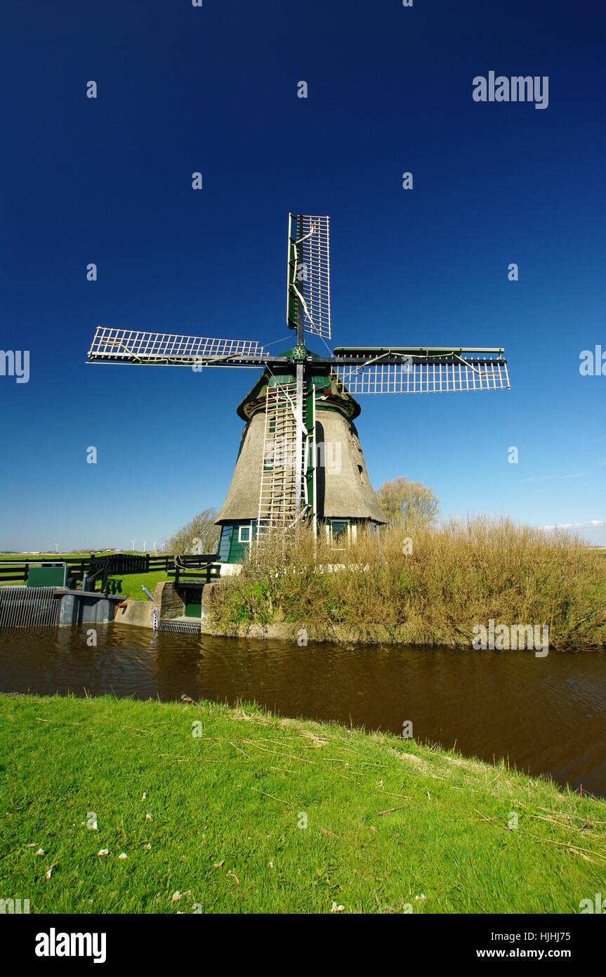 Holland, Paesi Bassi, mulino a vento, il firmamento cielo, Willow, blu, monumento, Foto Stock