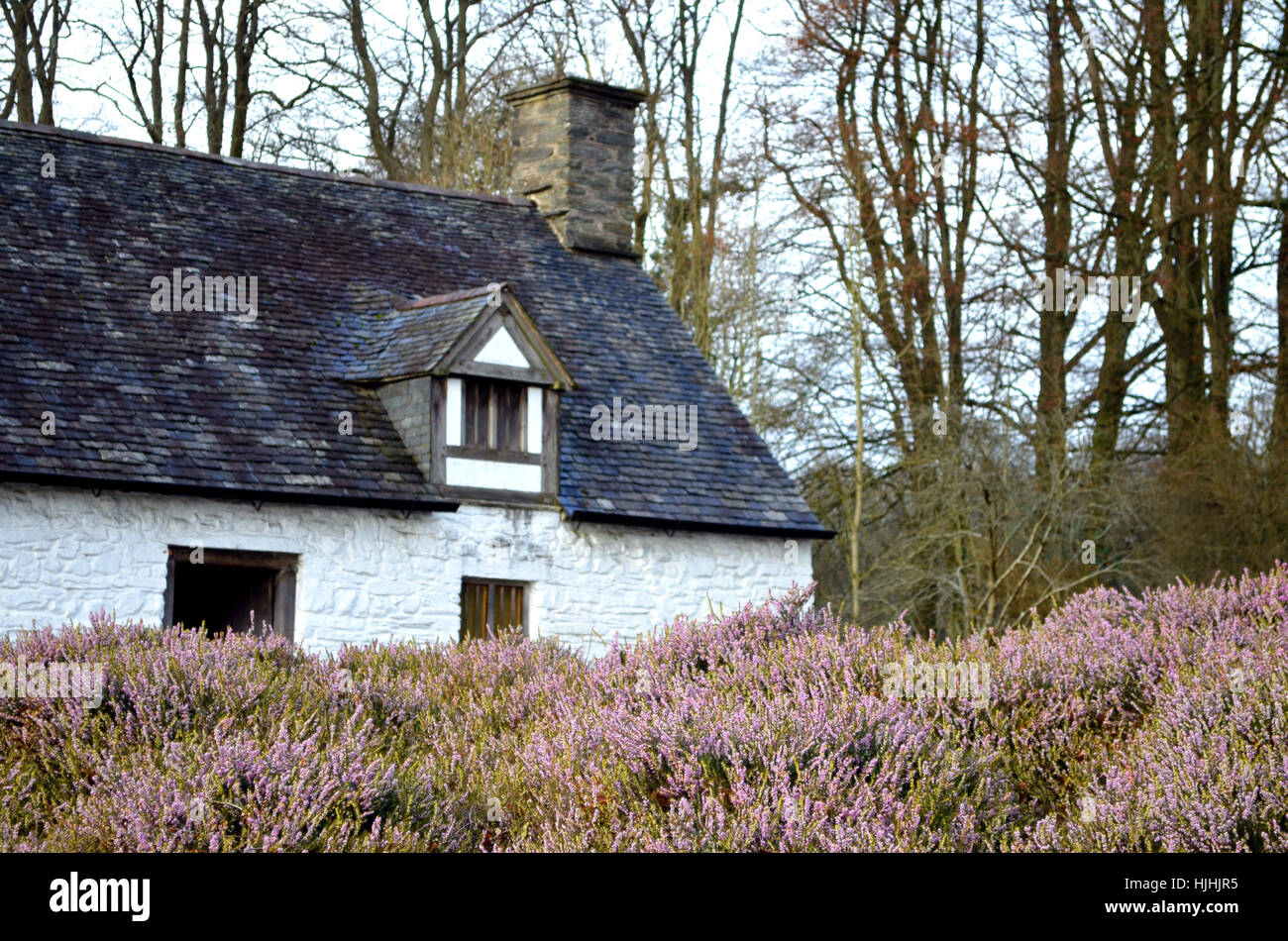 St Fagans, Cardiff Foto Stock