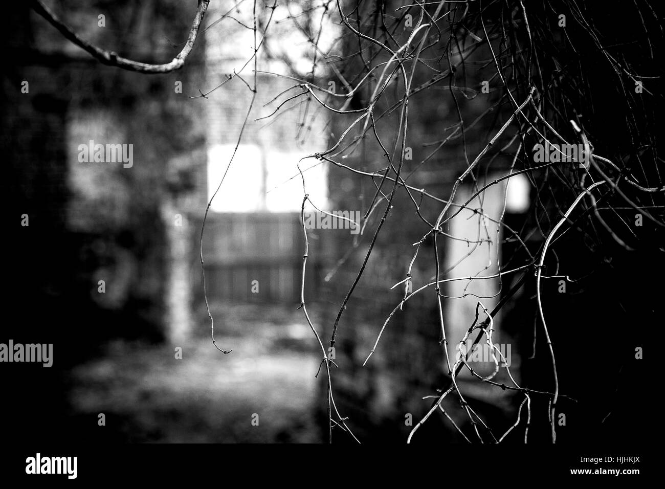 Succursali di Ghost Town in Virginia Foto Stock