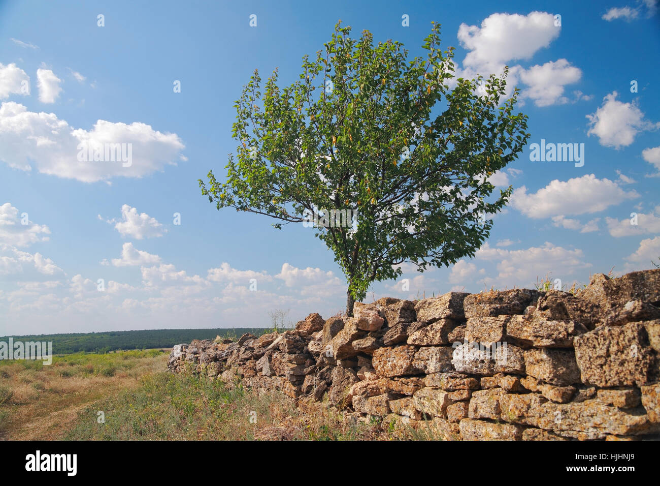 Paesaggio rurale, una recinzione fatta di pietra naturale, alberi contro il cielo blu con nuvole in estate Foto Stock