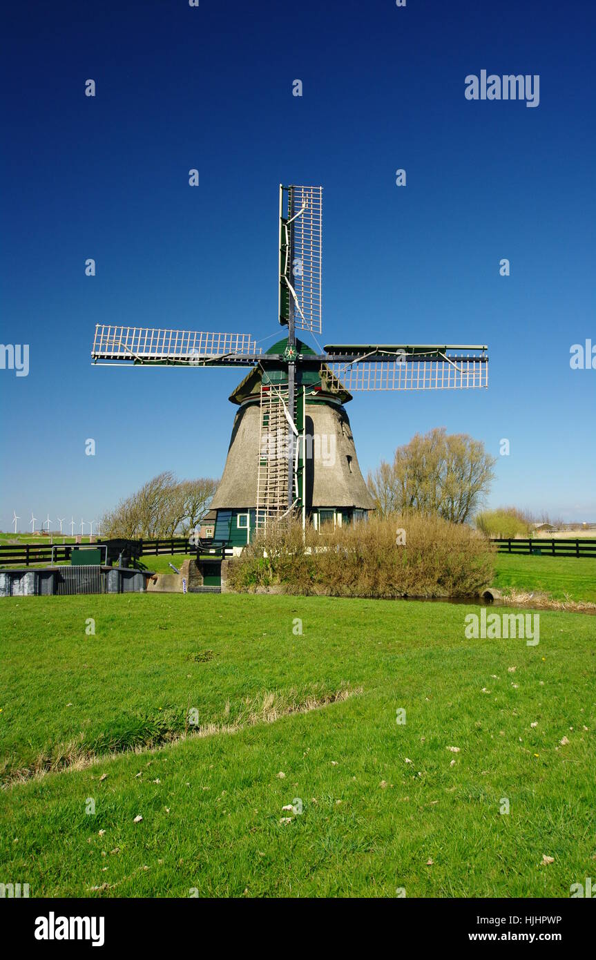 Holland, Paesi Bassi, mulino a vento, il firmamento cielo, Willow, blu, monumento, Foto Stock