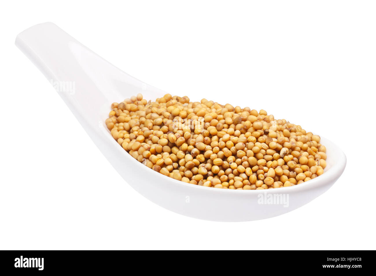 Bianco di ceramica cucchiaio di tutto il giallo di semi di senape (Sinapis alba). Tracciato di ritaglio Foto Stock