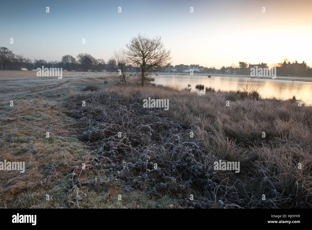 La mattina presto temperature di congelamento al Rushmore stagno, Wimbledon Common, a sud-ovest di Londra, England, Regno Unito Foto Stock