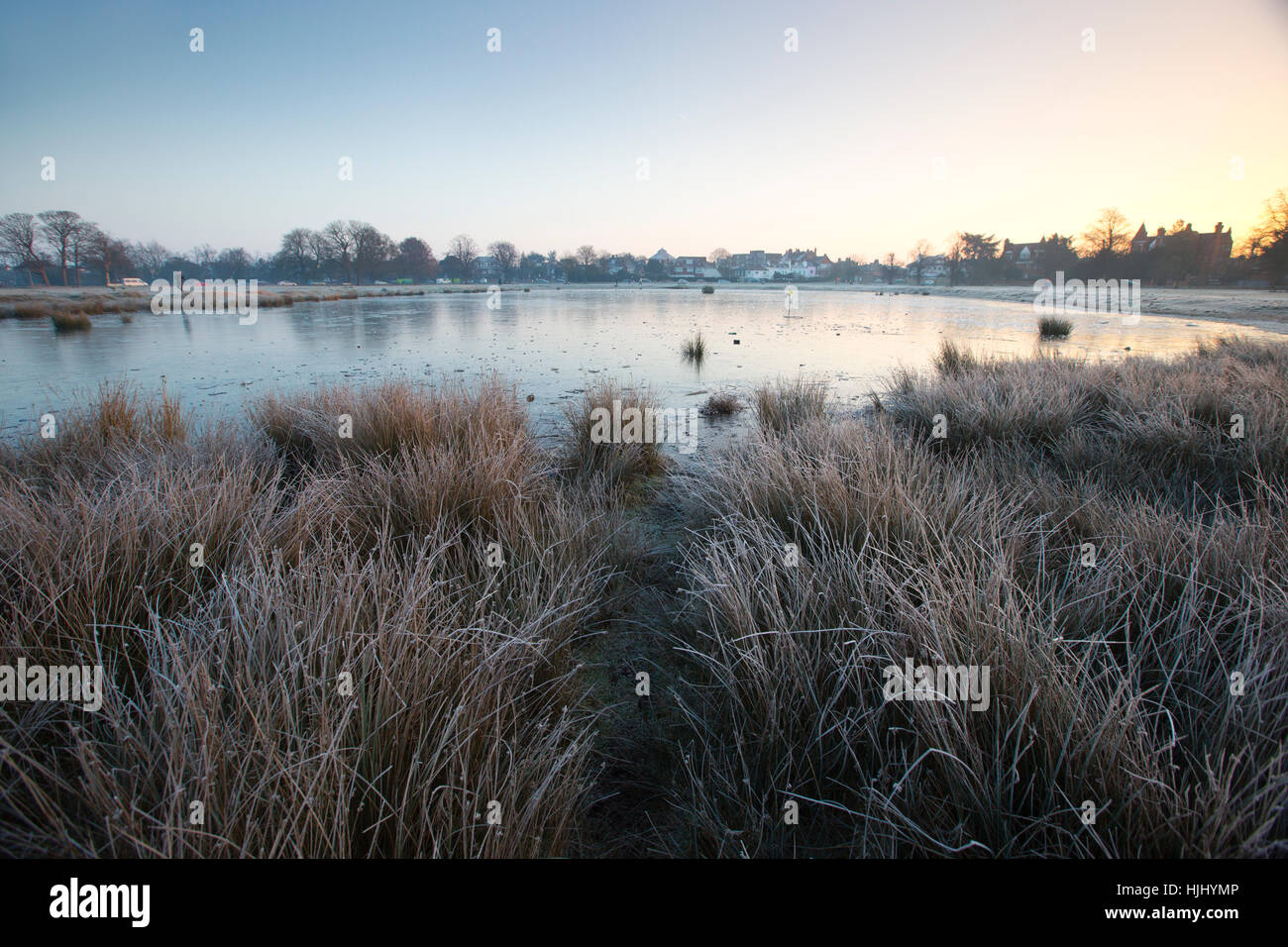 La mattina presto temperature di congelamento al Rushmore stagno, Wimbledon Common, a sud-ovest di Londra, England, Regno Unito Foto Stock