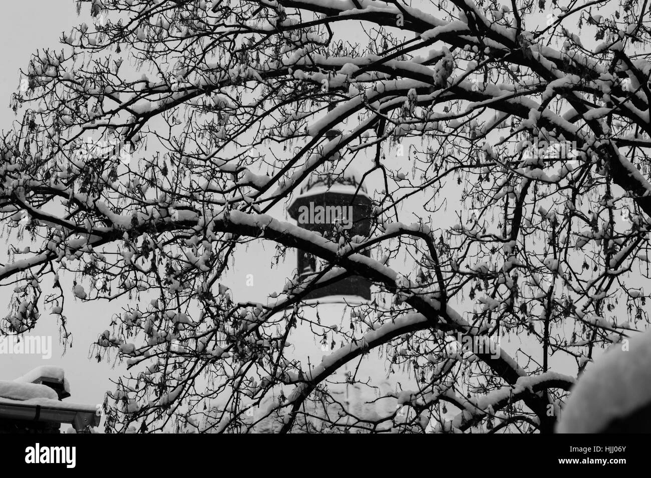 Snowy chiesa duomo attraverso i rami degli alberi coperti di neve Foto Stock