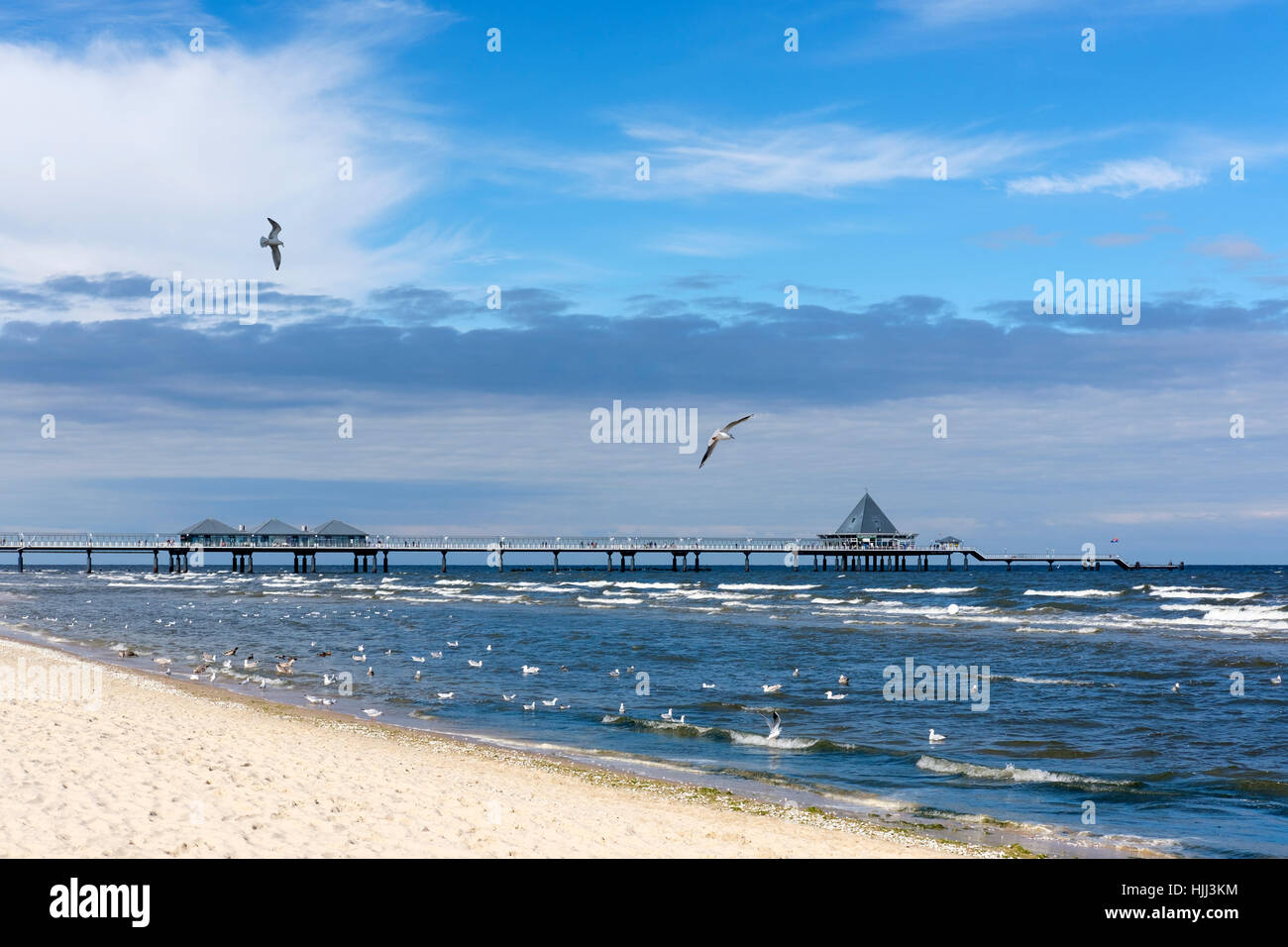 Germania, Usedom, Heringsdorf, spiaggia, gabbiani e pier Foto Stock