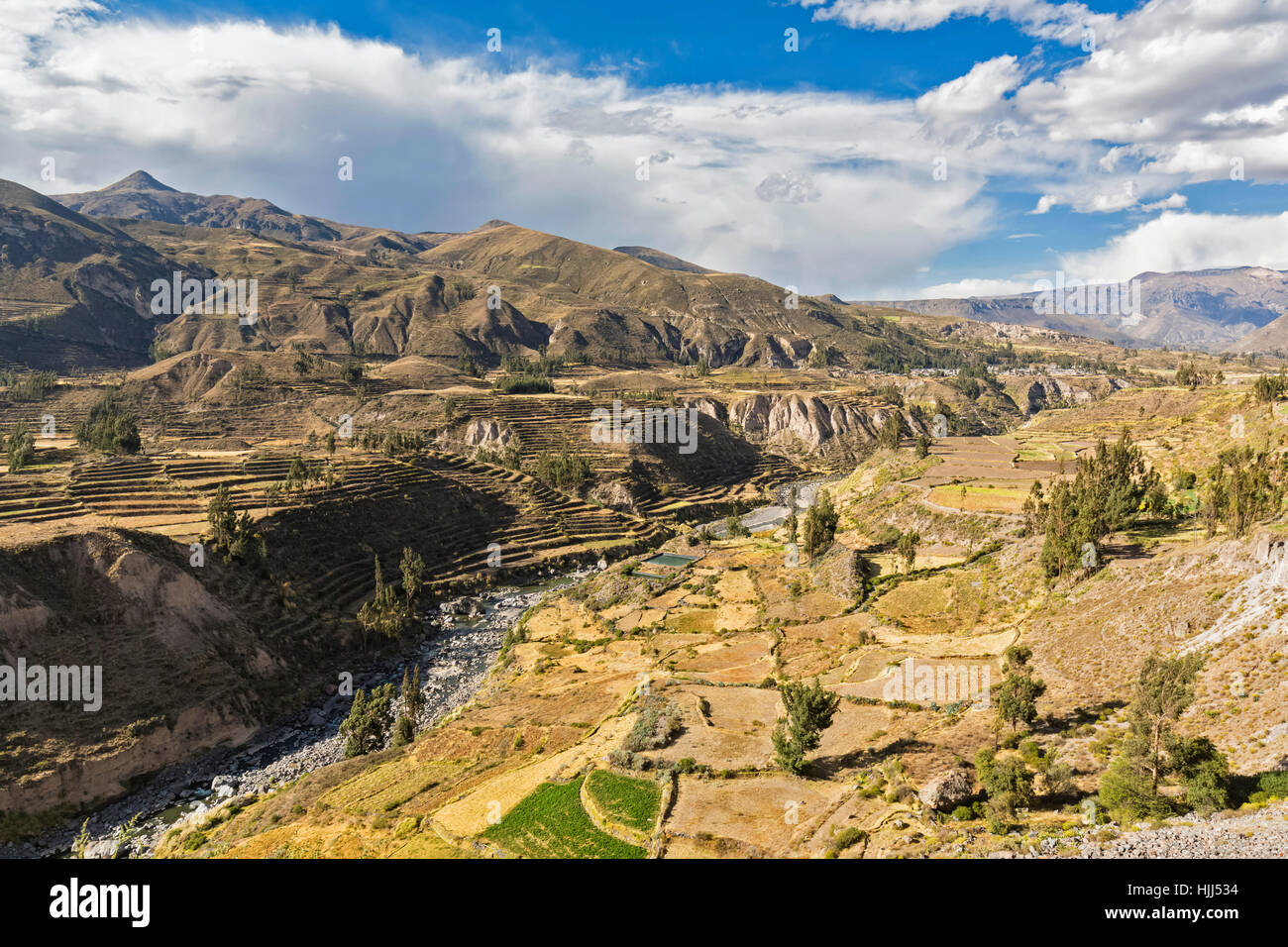 Il Perù, Ande, Chivay, il Canyon del Colca, fiume Colca, raccolte cornfields Foto Stock