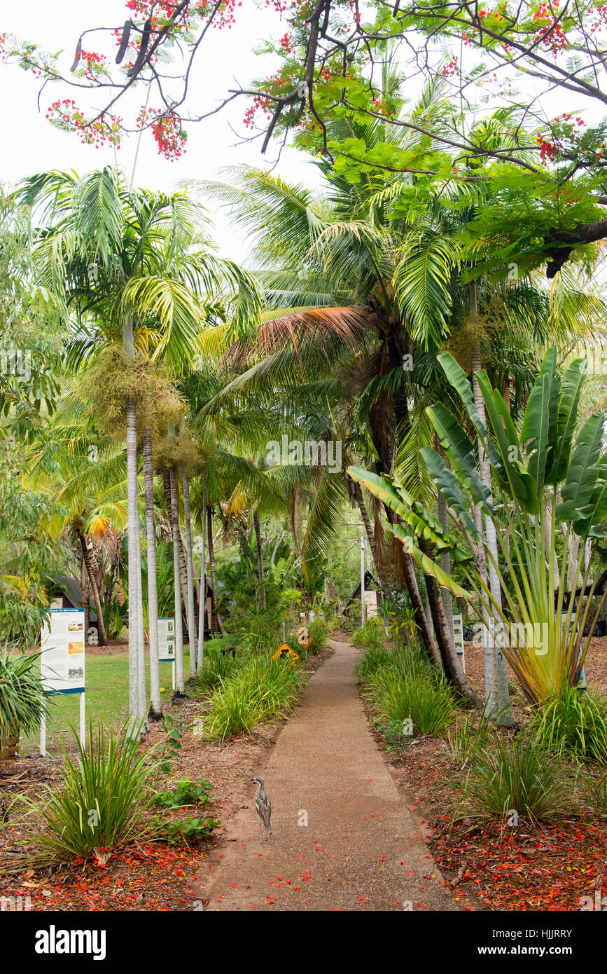 La baia di Bungalow Villaggio Koala, baia a ferro di cavallo Magnetic Island Queensland Australia Foto Stock