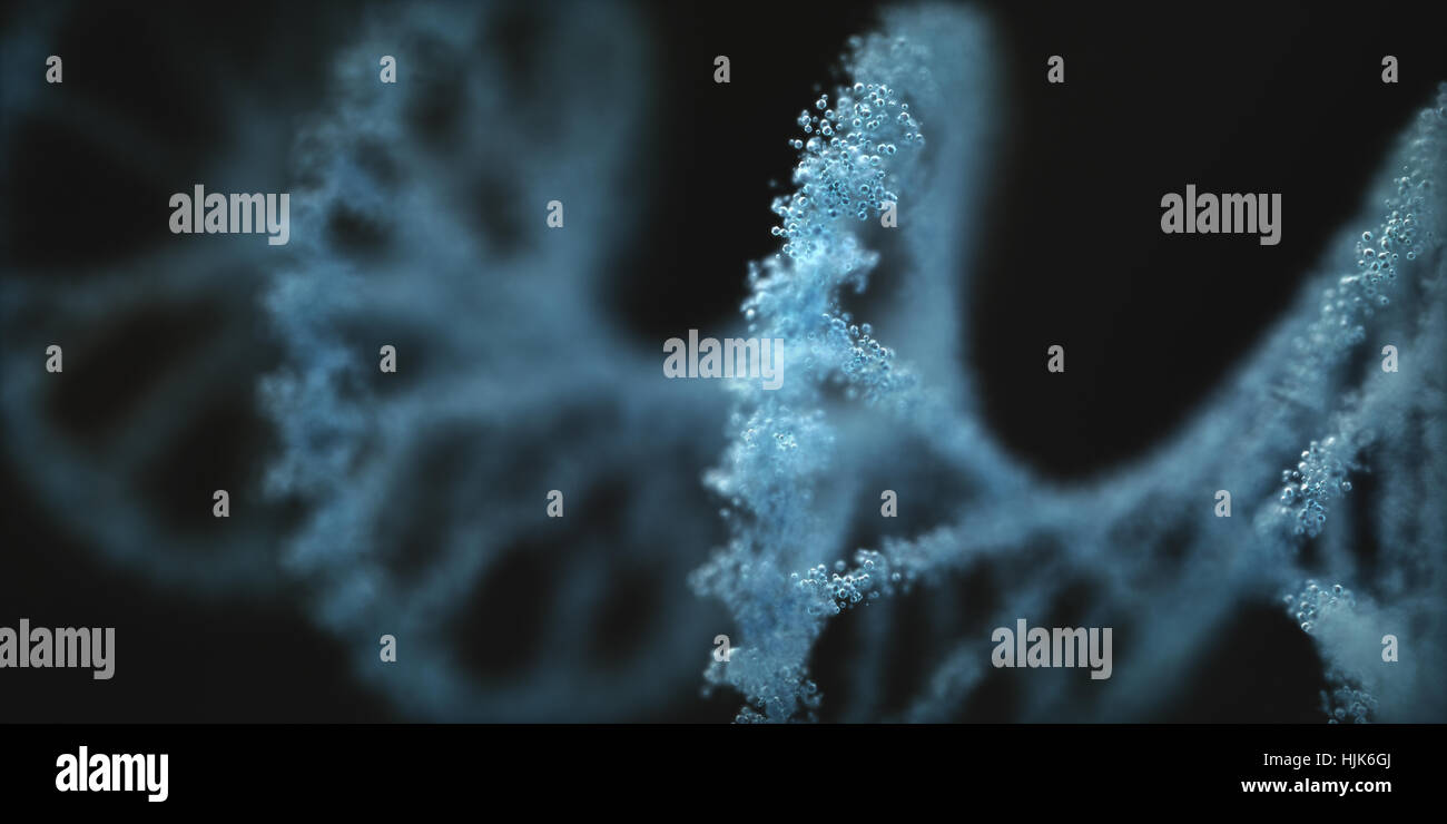 Acido desossiribonucleico (DNA), la molecola che porta le istruzioni di genetica dello sviluppo, il funzionamento e la riproduzione di tutti gli organismi viventi di un Foto Stock