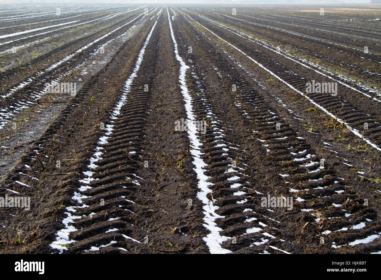 Tracce di pneumatici che conduce verso l'orizzonte su un congelato e nevoso campo agricolo Foto Stock