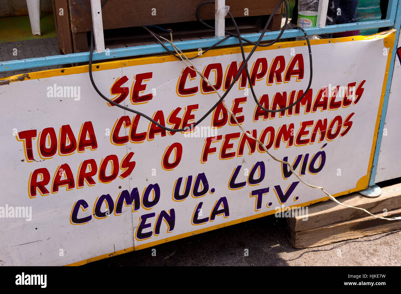 Freak animali stanno in piedi su una fiera messicana. Si dice (in spagnolo): noi acquistare tutti i tipi di strani/strano fenomeno/animali. Come si è visto in TV Foto Stock