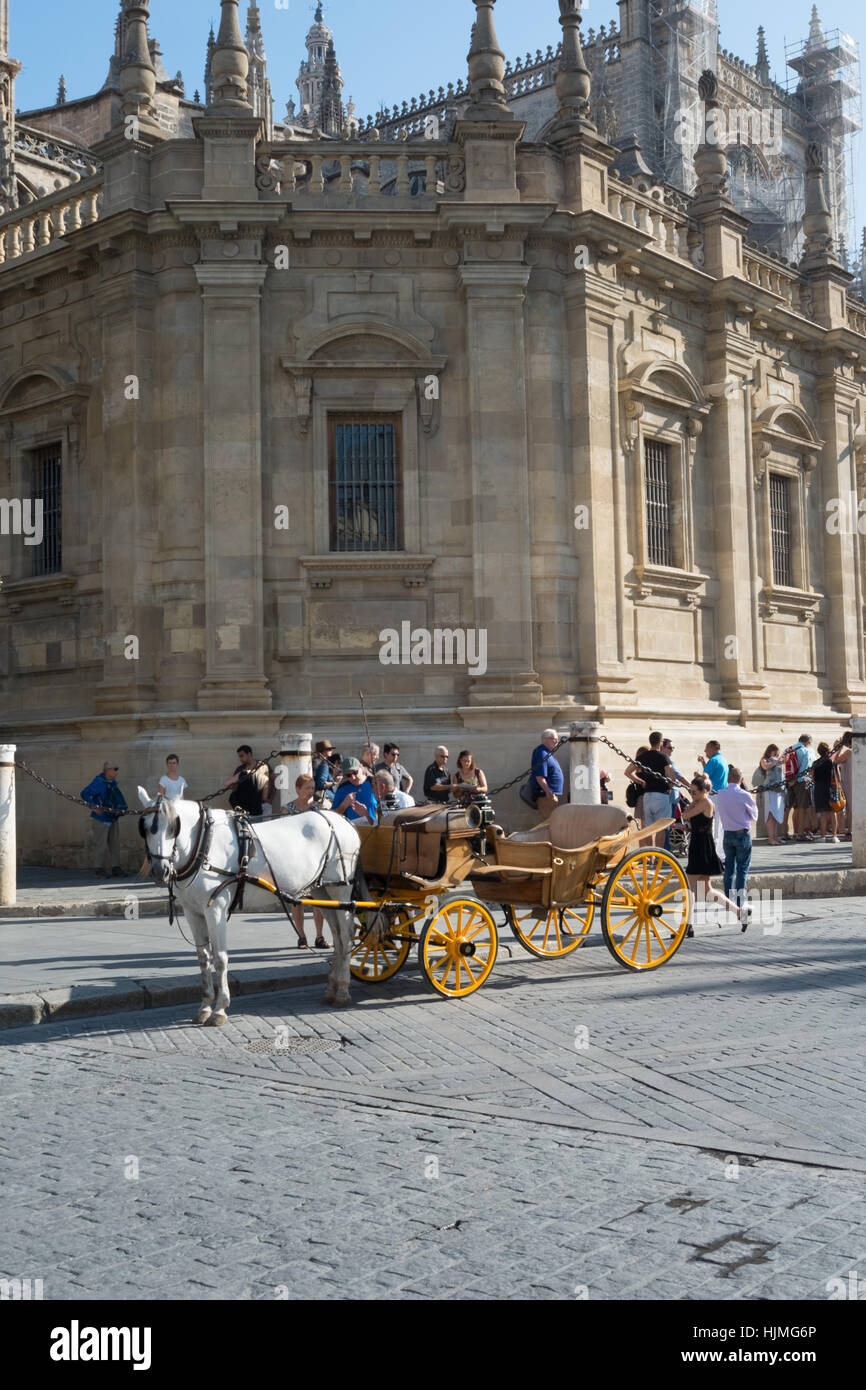 Cavallo e Carrozza, Siviglia, Spagna Foto Stock