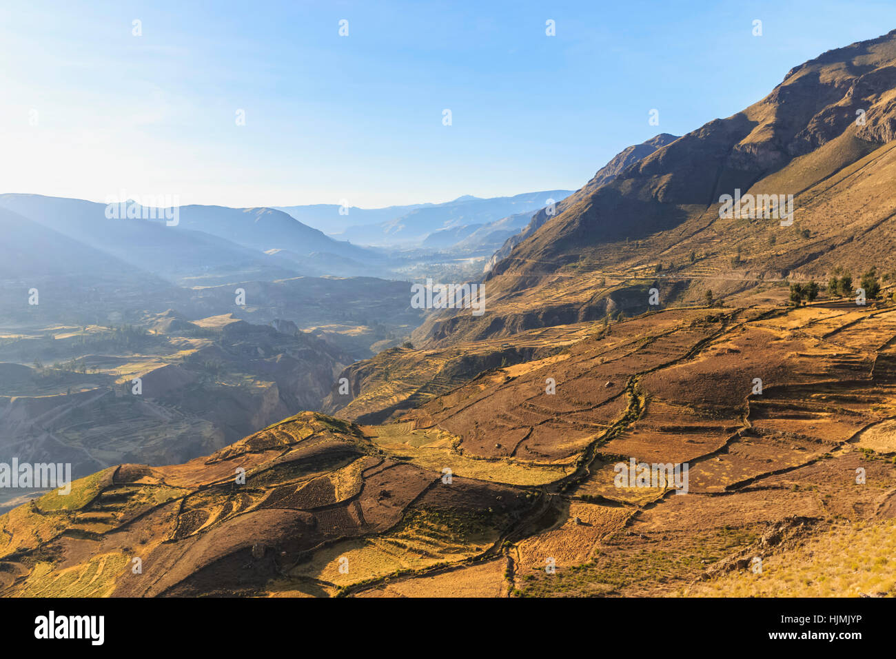 Il Perù, Ande, Chivay, il Canyon del Colca, raccolte cornfields Foto Stock