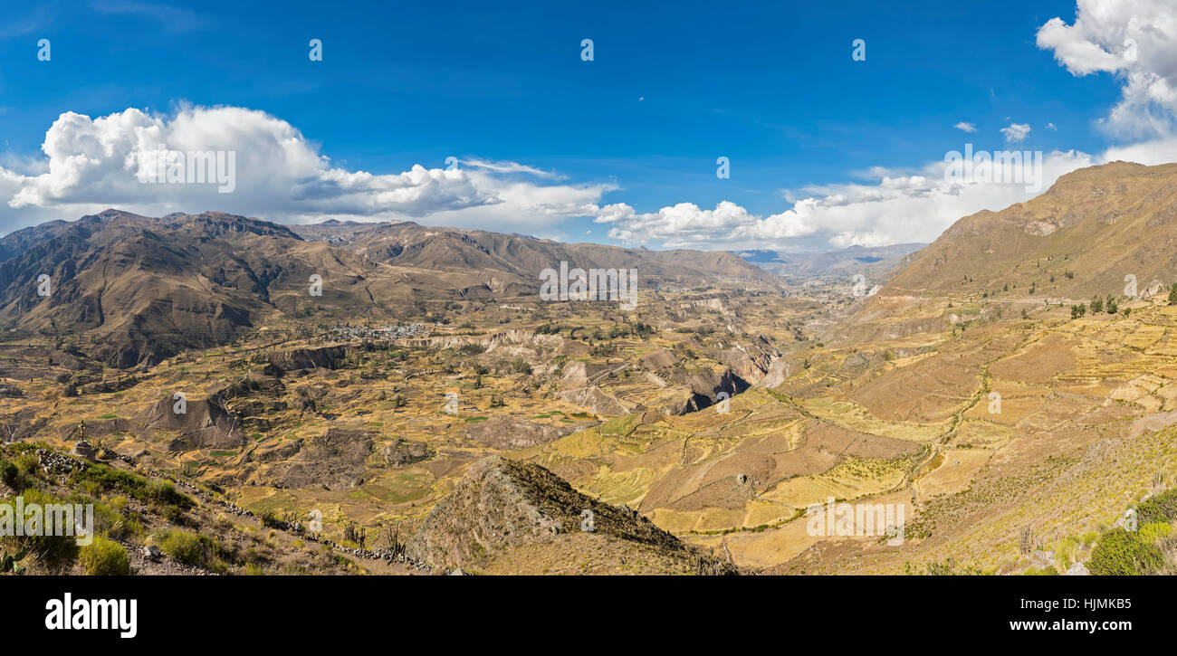 Il Perù, Ande, Chivay, il Canyon del Colca, vista dal Mirador Antahuilque su raccolte cornfields Foto Stock