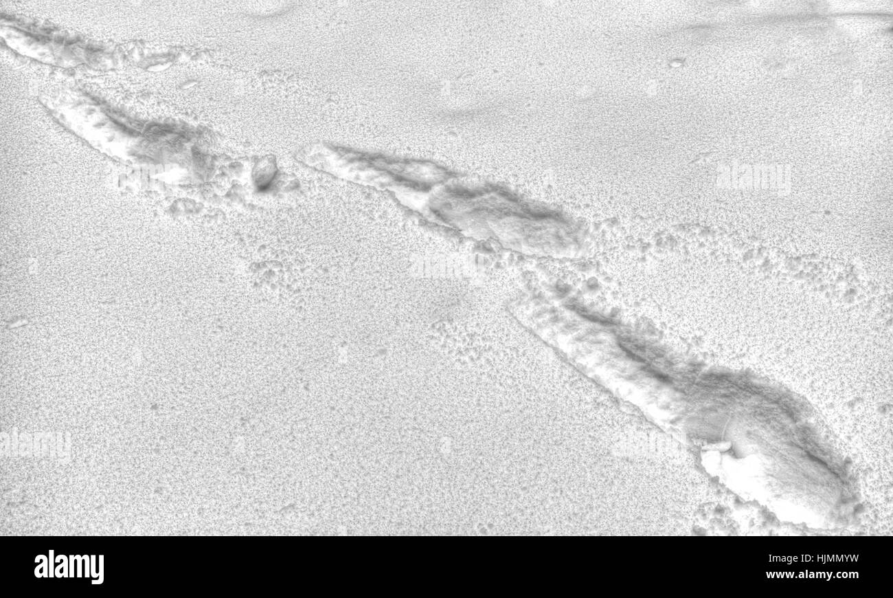 Fasi di umano nel bianco della neve Foto Stock