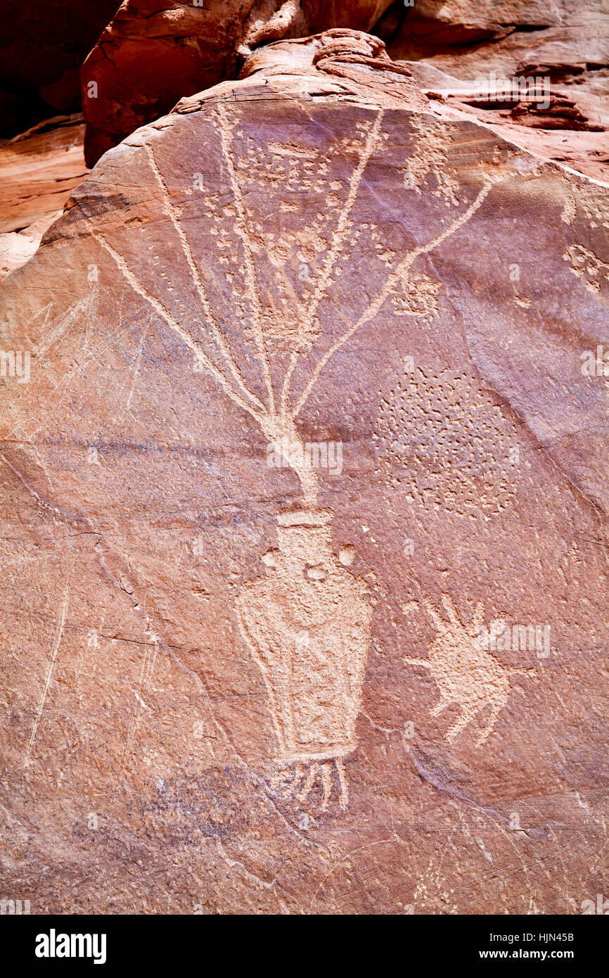 Incisioni rupestri in Dinosaur National Monument, Utah, Stati Uniti d'America. Foto Stock