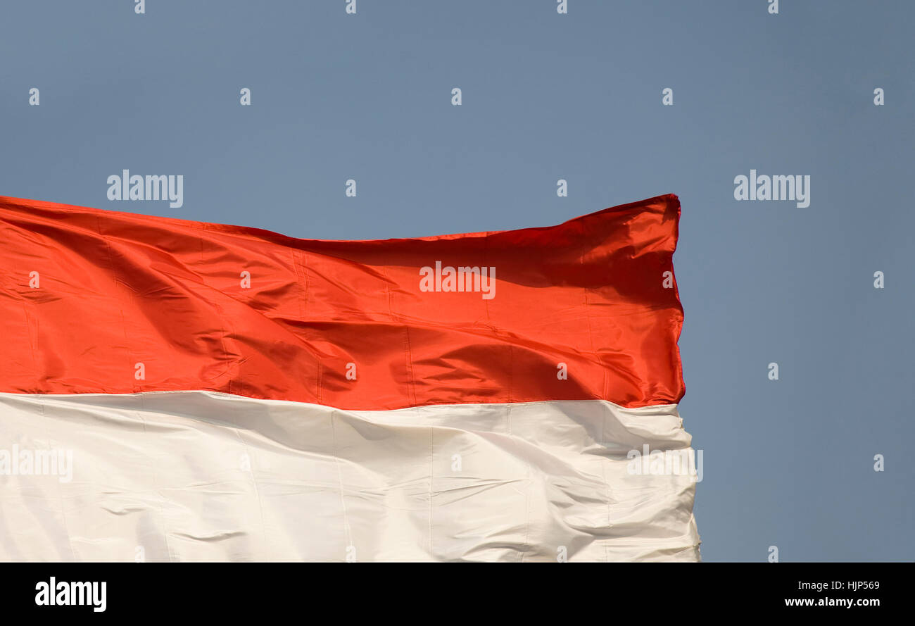 Corsa, colore, Asia, celebrare, reveling, si compiace, celebra, Indonesia, bandiera, Foto Stock Corsa, colore, Asia, celebrare, reveling, si compiace, celebra, Indonesia, bandiera, Foto Stock