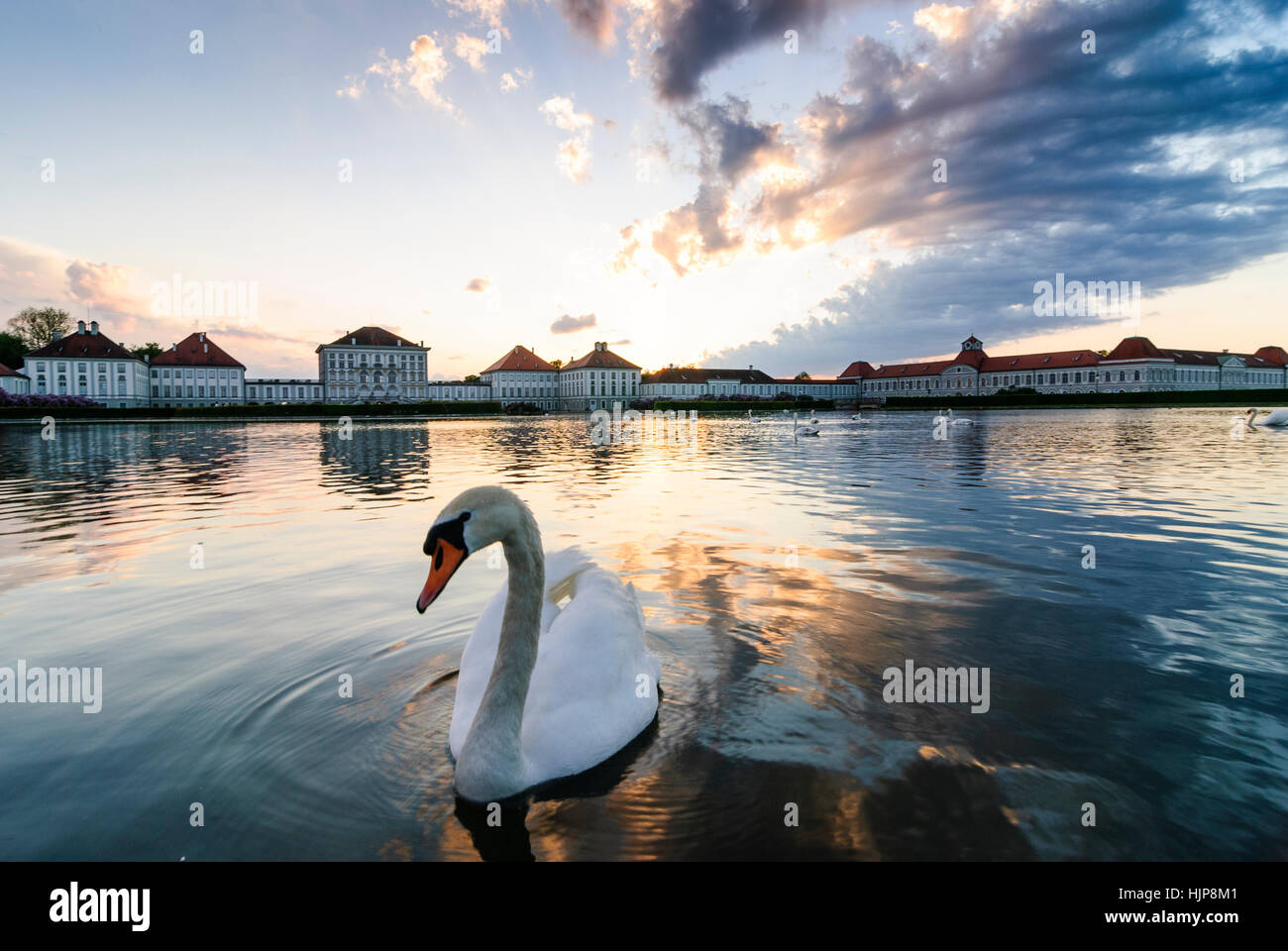 München Monaco di Baviera: Il Castello di Nymphenburg; cigno (Cygnus olor), Alta Baviera, Baviera, Baviera, Baviera, Germania Foto Stock