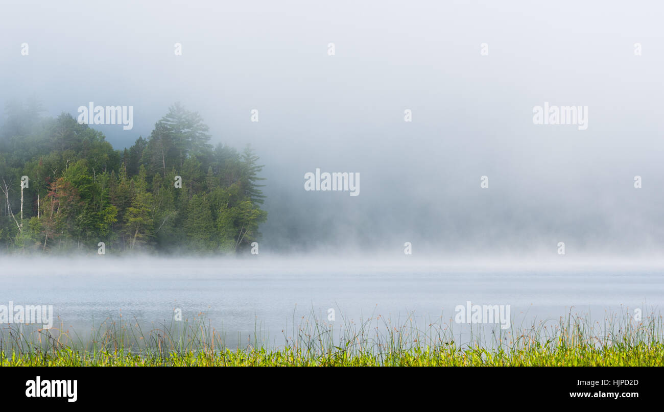 La nebbia e la nebbia sale tutto intorno, parzialmente insistente a waterfront decidui Ontario orientale foresta a un lago. Foto Stock