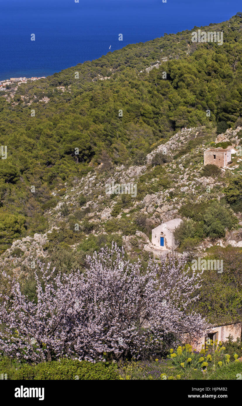 Primavera nella campagna di Aegina Isola punteggiata di imbiancato cappelle tradizionali, nel golfo di Saronico vicino a Pireo, Grecia Foto Stock
