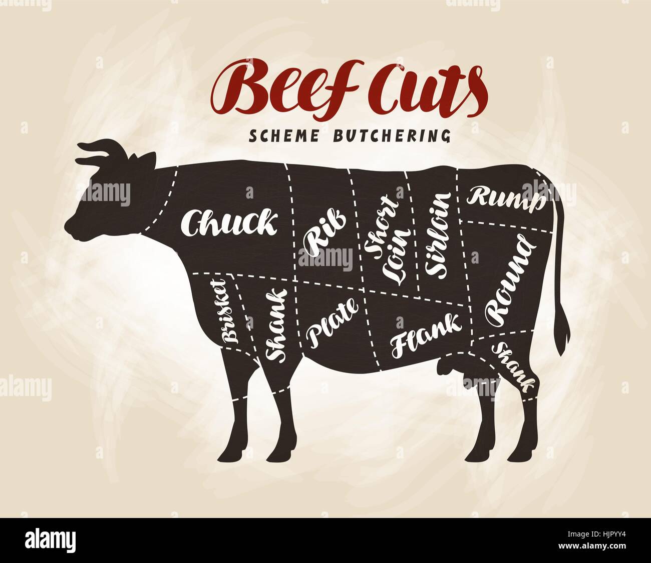Tagli di carni bovine, schema. Illustrazione Vettoriale per la progettazione menu ristorante o cena Illustrazione Vettoriale