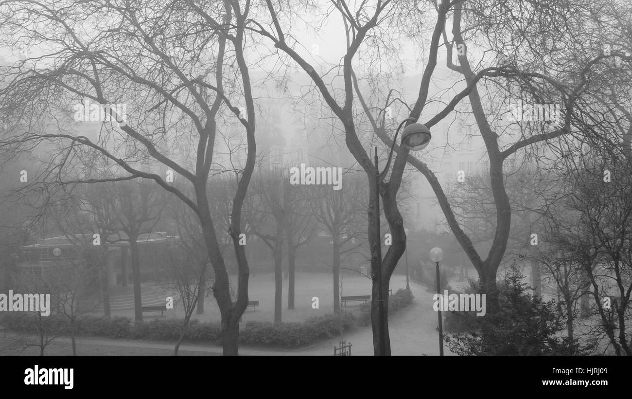 Il winter park.immagine in bianco e nero di una nebbiosa wintery park. Foto Stock
