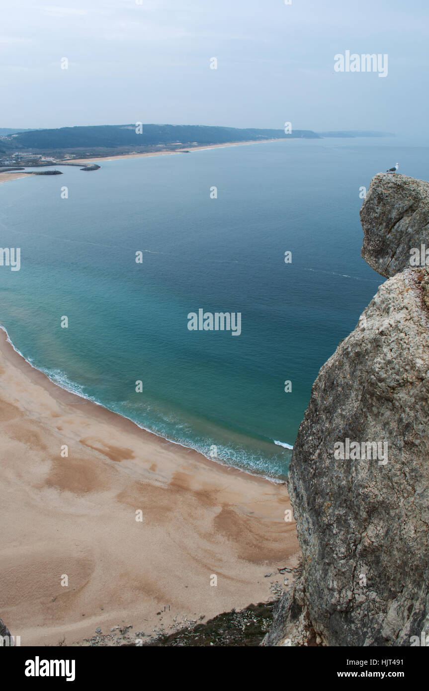 Portogallo: l'Oceano Atlantico, la spiaggia e la vista di un gabbiano sulla roccia sulla sommità del sitio, il vecchio quartiere di Nazare Foto Stock