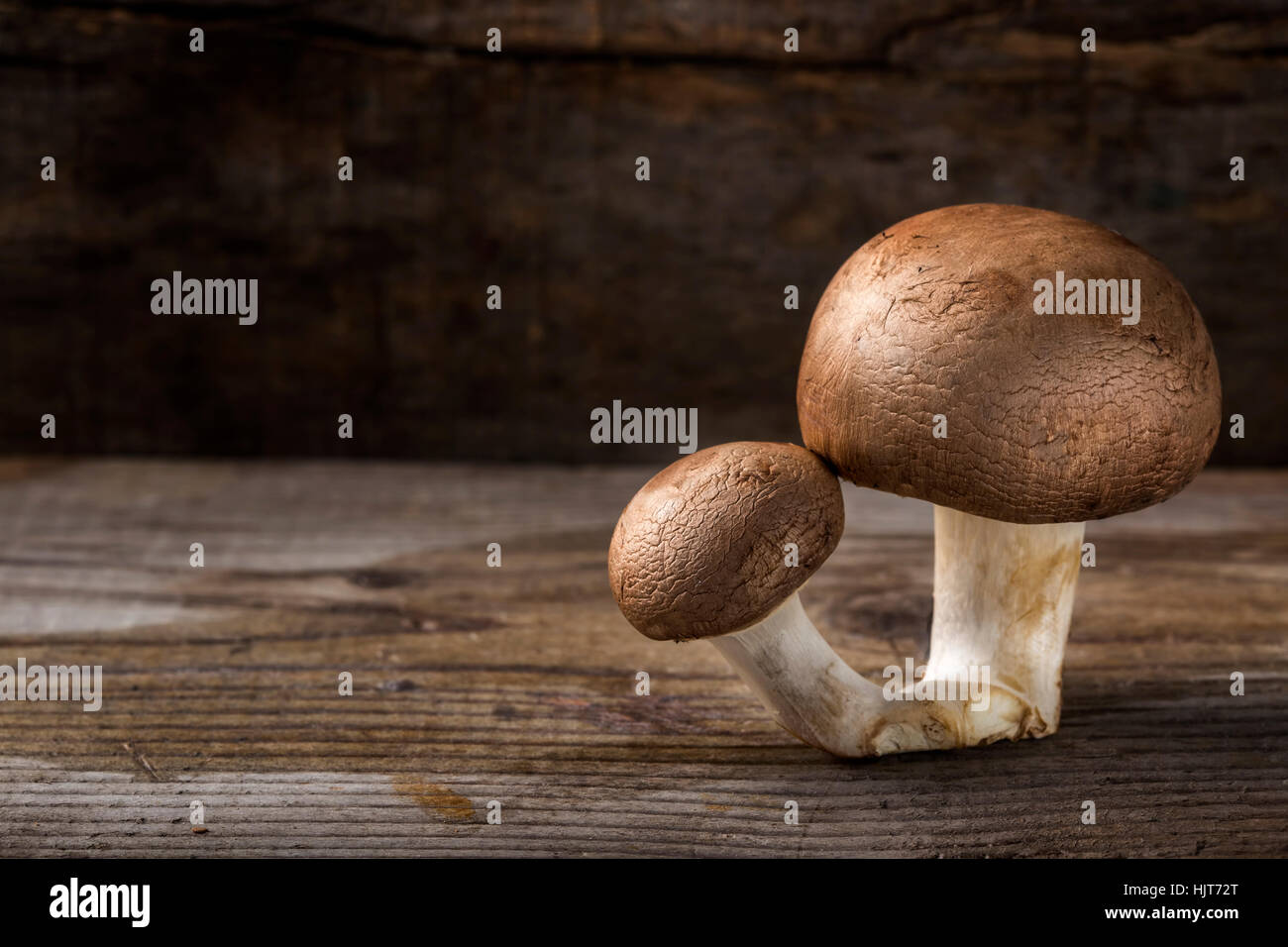 Due funghi marrone su un vecchio rustico sfondo di legno con spazio di copia Foto Stock