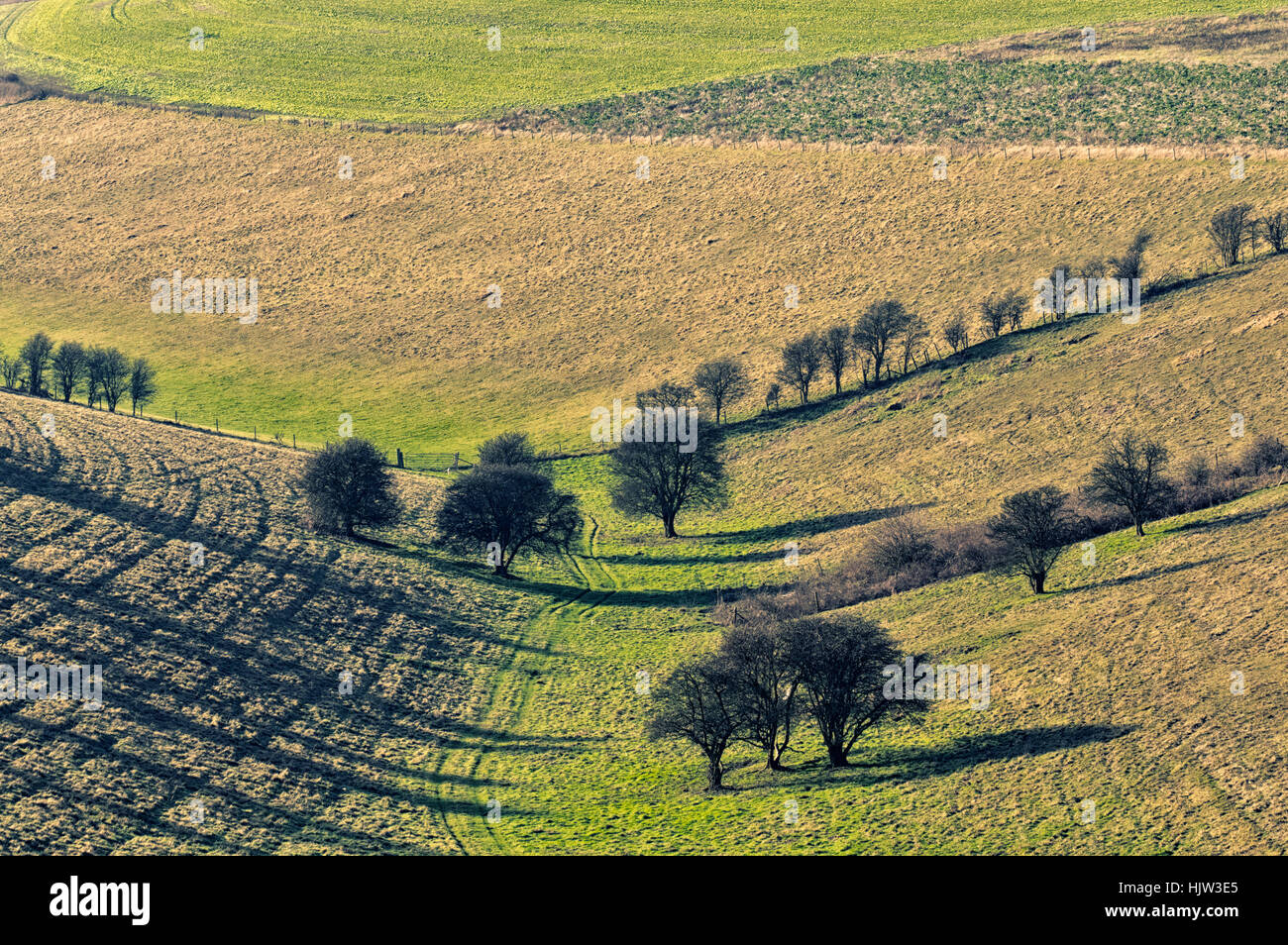 Il basso sole proietta ombre lunghe durante l'inverno fino sulla DownsThe Downland stessa non guardare al suo meglio. In questo periodo dell'anno Foto Stock