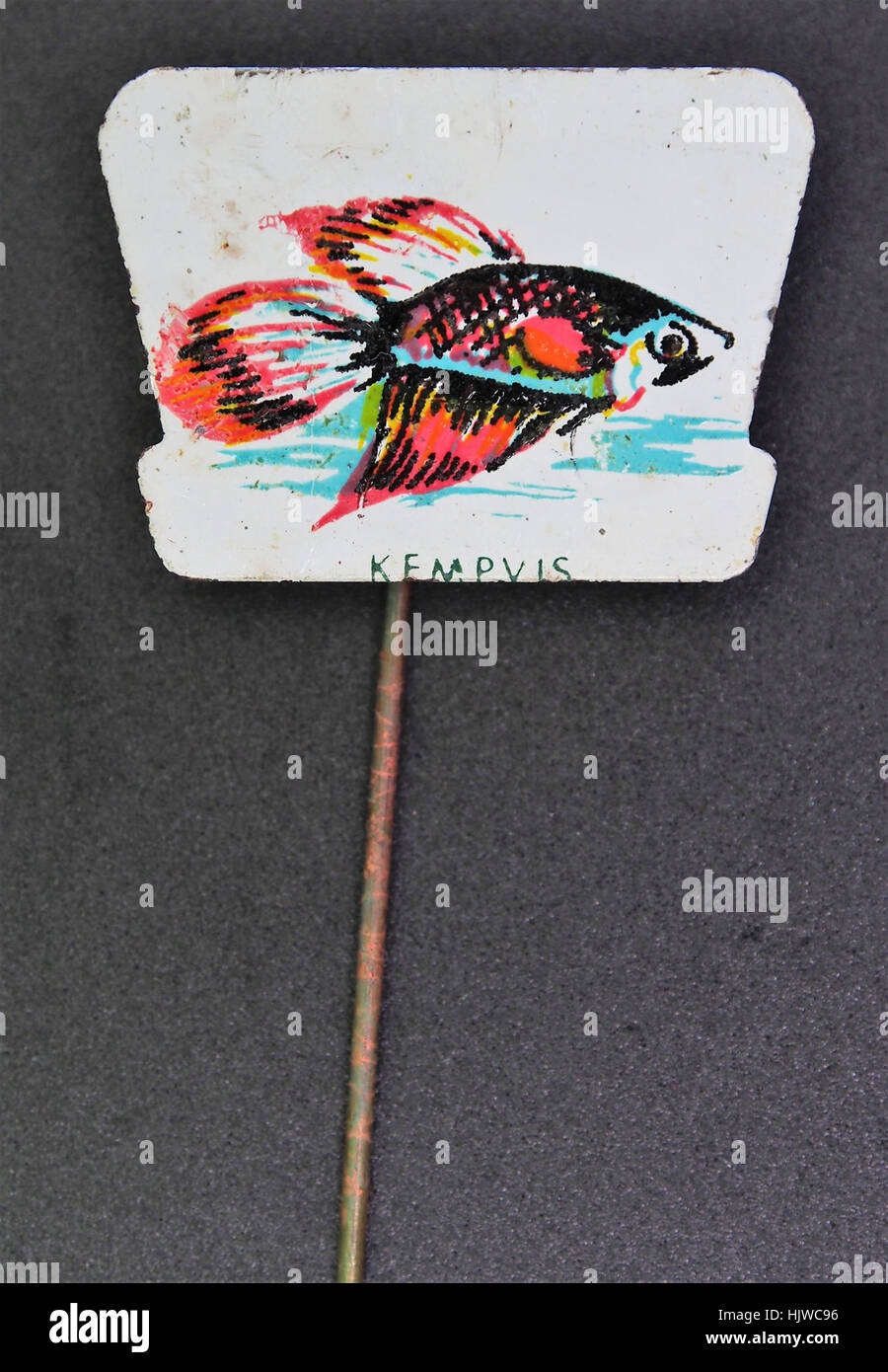La spilla pubblicitaria Kempvis è un articolo promozionale vintage di Kempvis, un'azienda olandese nota per i prodotti ittici e di pesce. È stato utilizzato per commercializzare i prodotti dell'azienda durante il XX secolo, riflettendo le strategie pubblicitarie storiche nell'industria ittica. Foto Stock