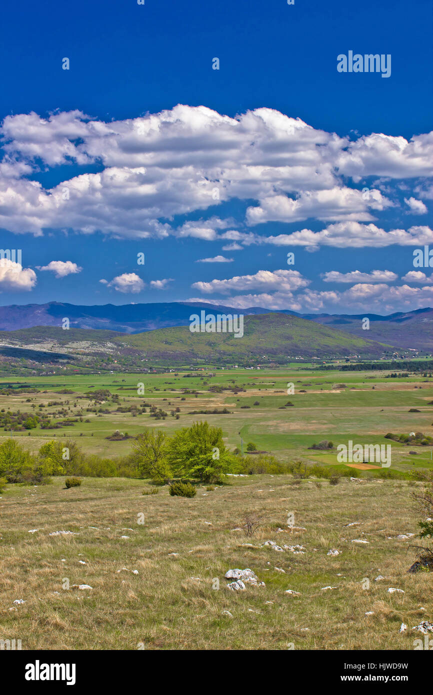 Natura coloratissima od regione Lika - campo Krbava, Croazia Foto Stock