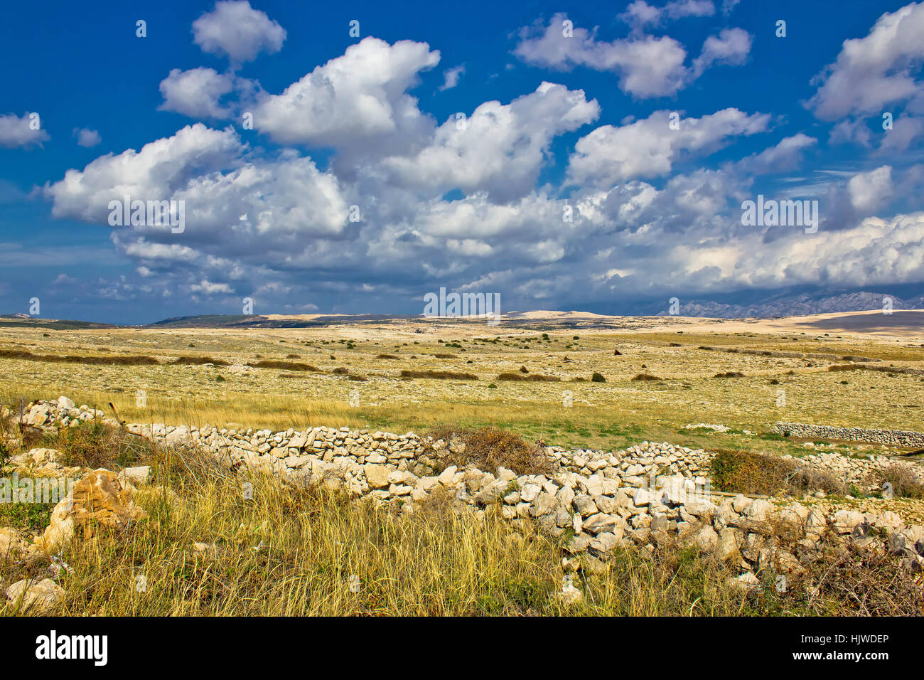 Paesaggio estivo di isola di Pag, Dalmazia, Croazia Foto Stock