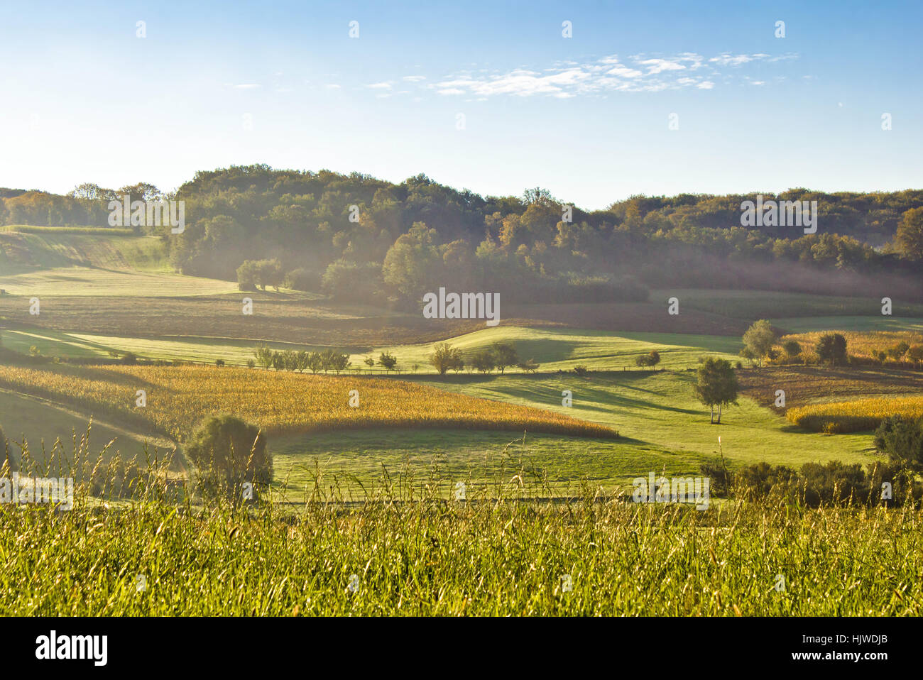 La mattina presto il paesaggio nella nebbia, idilliaci campi e colline Foto Stock