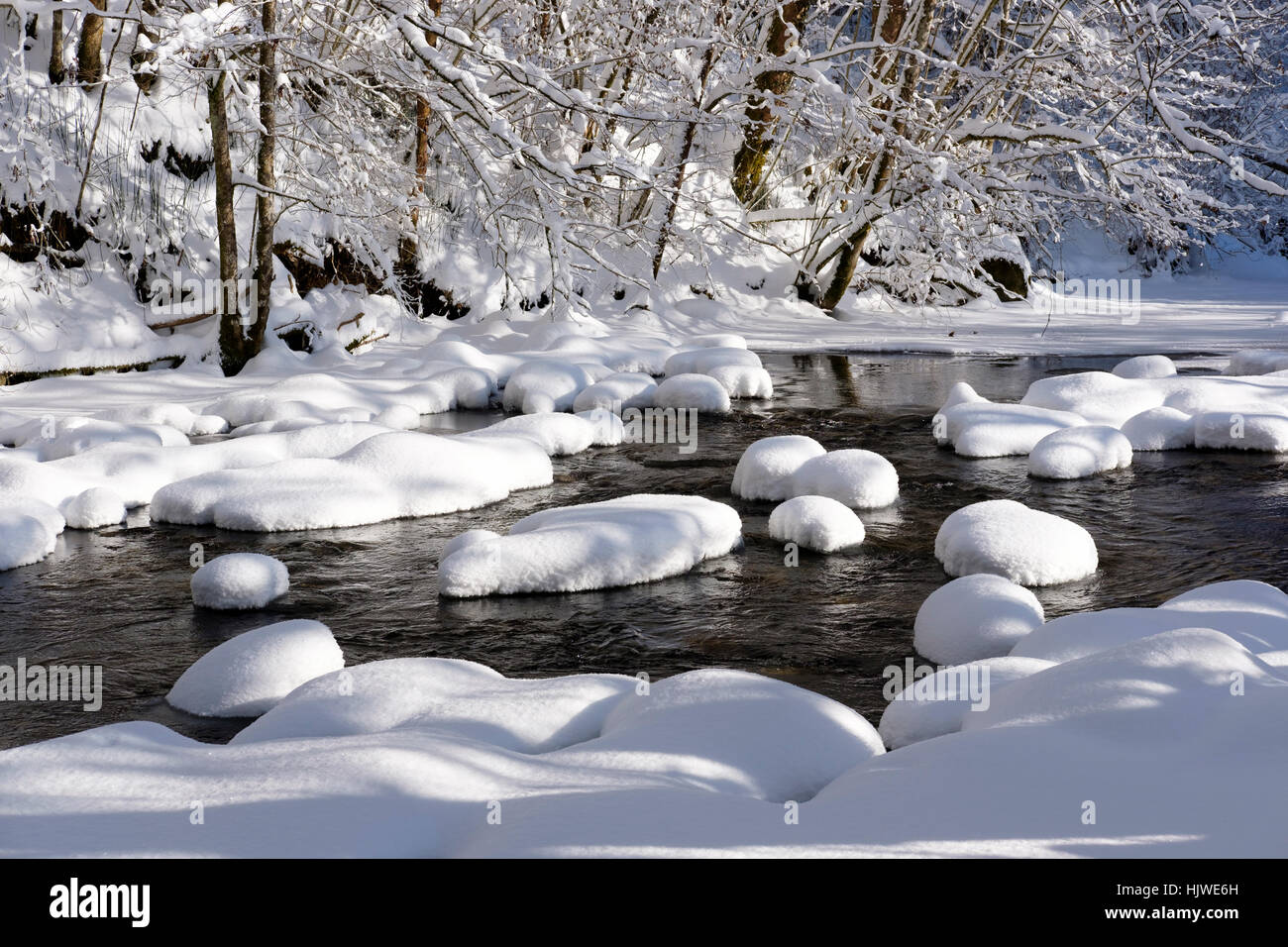 Fiume nel paesaggio innevato, Superiore Argen, riserva naturale Eistobel a Grünenbach, Algovia, Svevia, Baviera, Germania Foto Stock