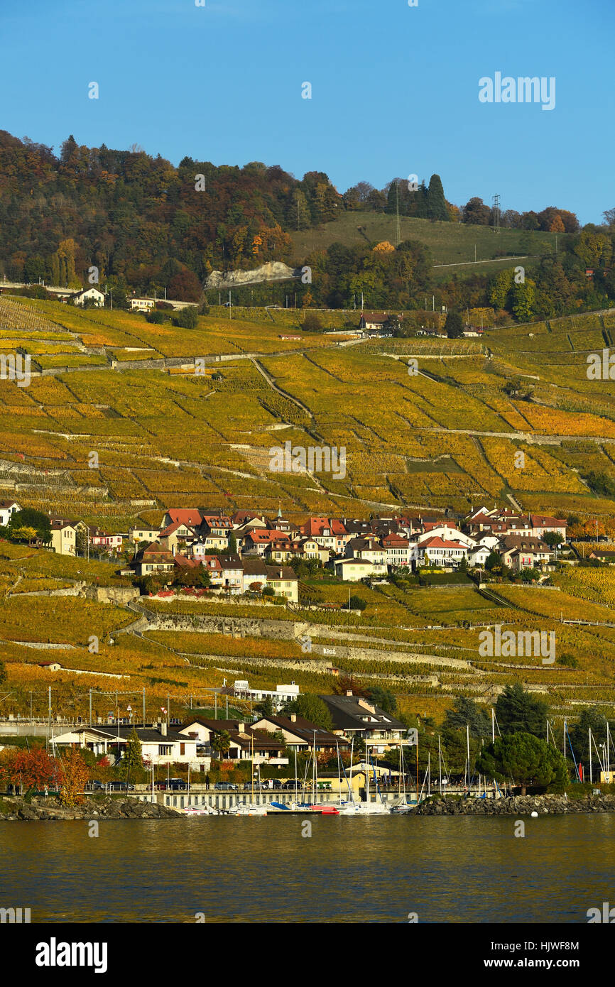 Vigneti in autunno con il villaggio del vino Epesses, sul Lago di Ginevra, Lavaux, Canton Vaud, Svizzera Foto Stock