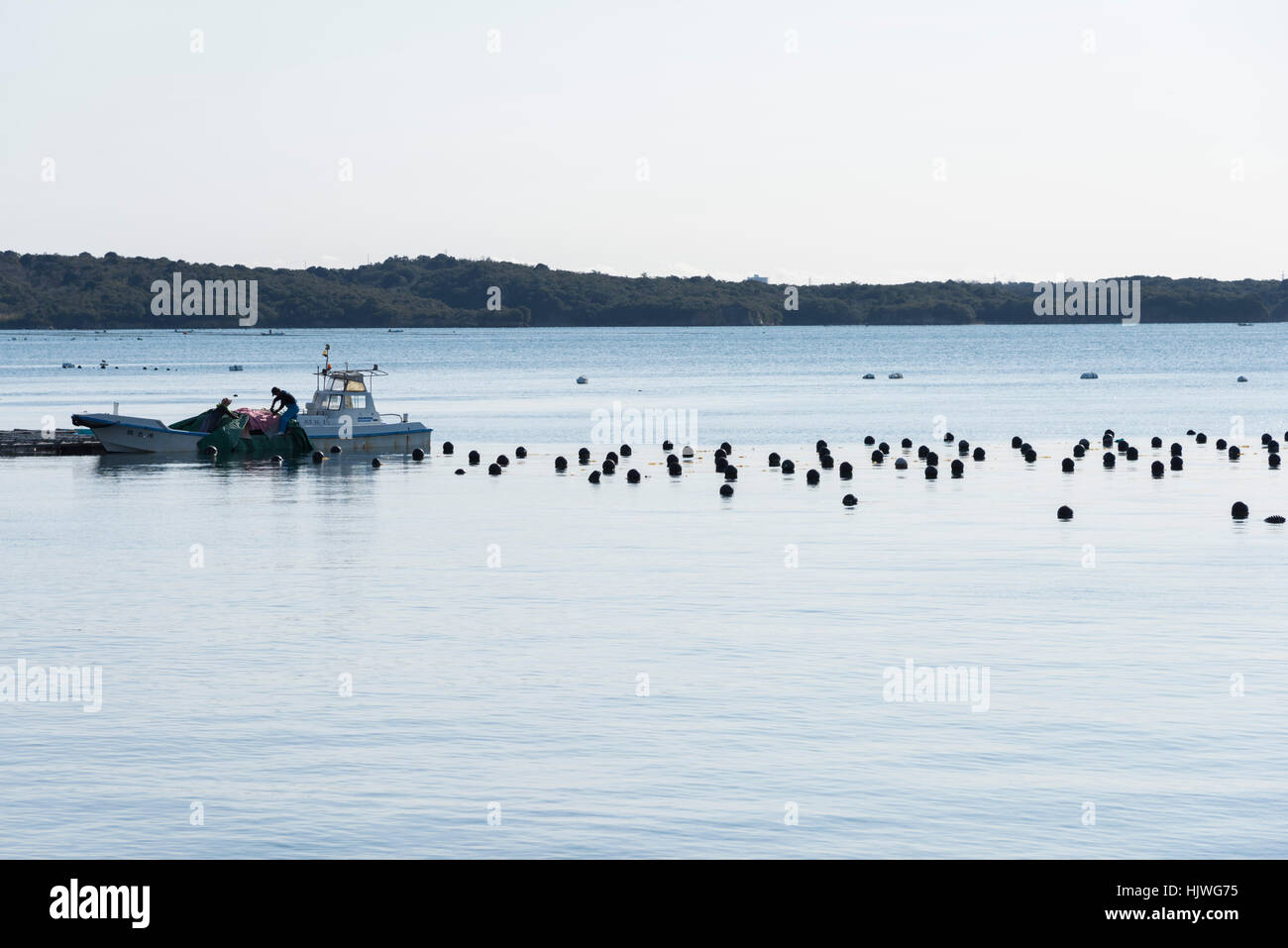 Perla coltivazione, Masakijima, fa Bay, Città Shima, Prefettura di Mie,Giappone Foto Stock
