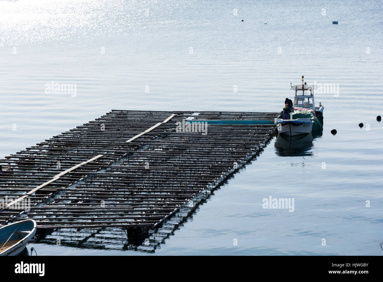Perla coltivazione, Masakijima, fa Bay, Città Shima, Prefettura di Mie,Giappone Foto Stock