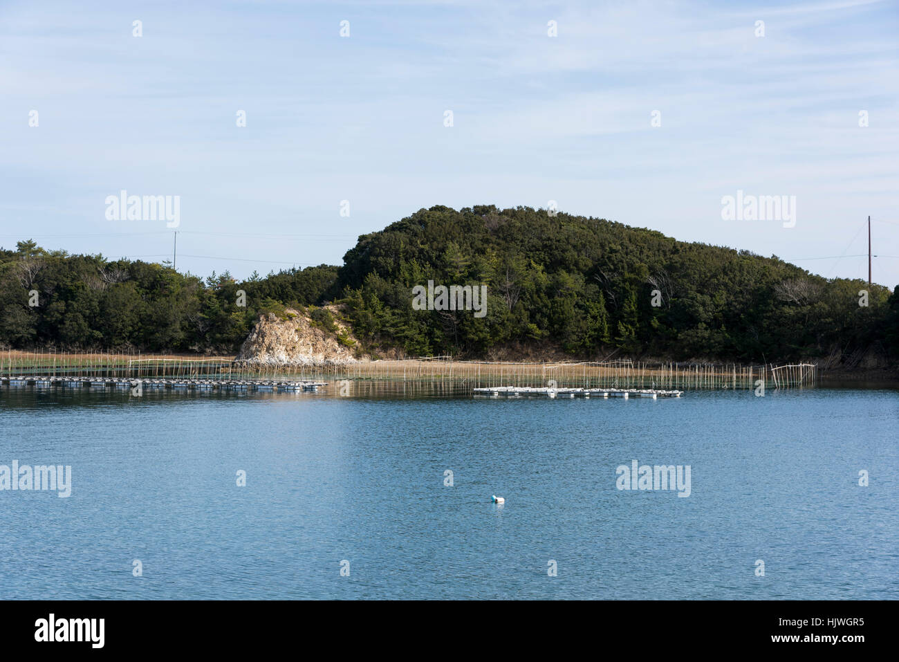 Perla e la coltura di alghe marine, Masakijima, fa Bay, Città Shima, Prefettura di Mie,Giappone Foto Stock