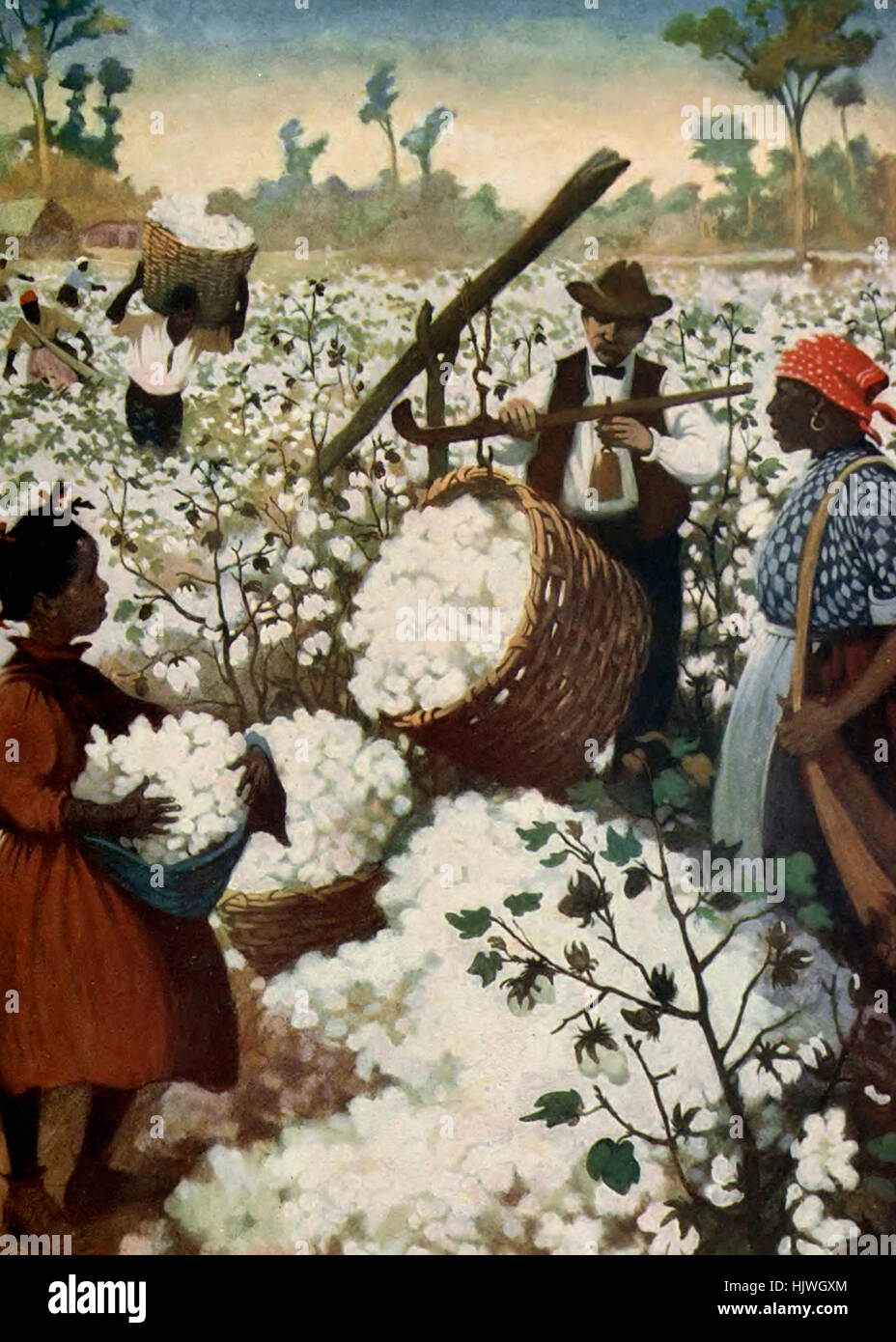 Il prelievo e la pesatura di cotone nel sud, circa 1890 Foto Stock