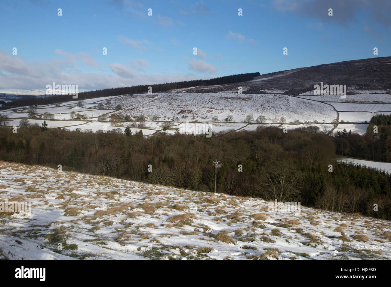 Scena invernale nel Yorkshire Dales vicino a Bolton Abbey Foto Stock