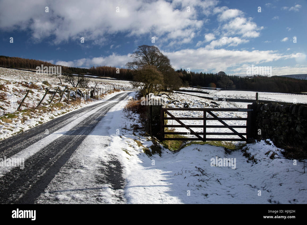Inverno scena di neve vicino a Bolton Abbey nel Yorkshire Dales National Park. Foto Stock