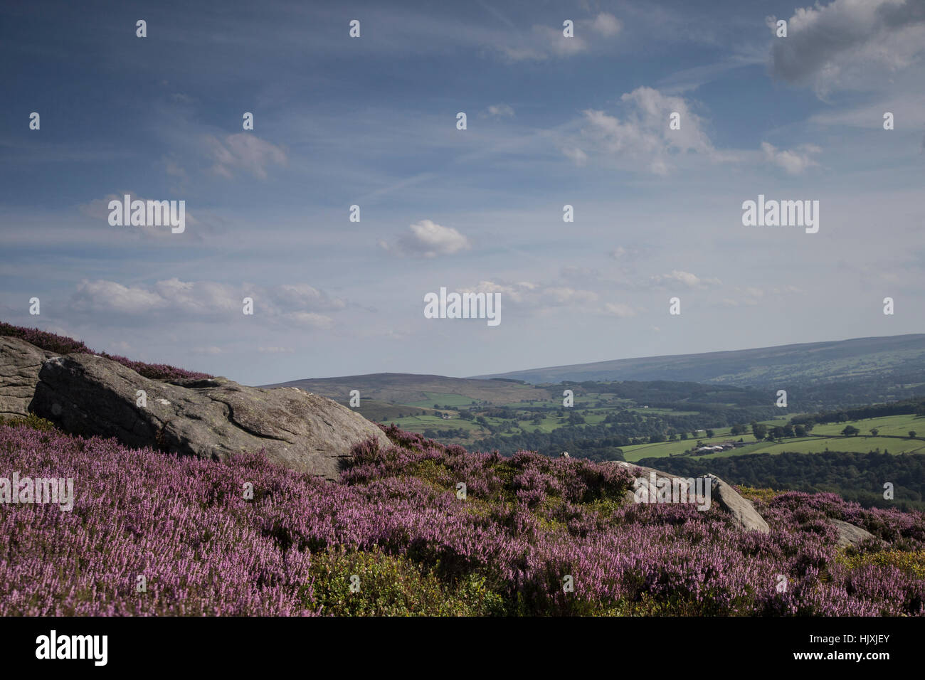 Vista di Wharfedale in primavera da Earl's sedile verso Wharfedale Foto Stock