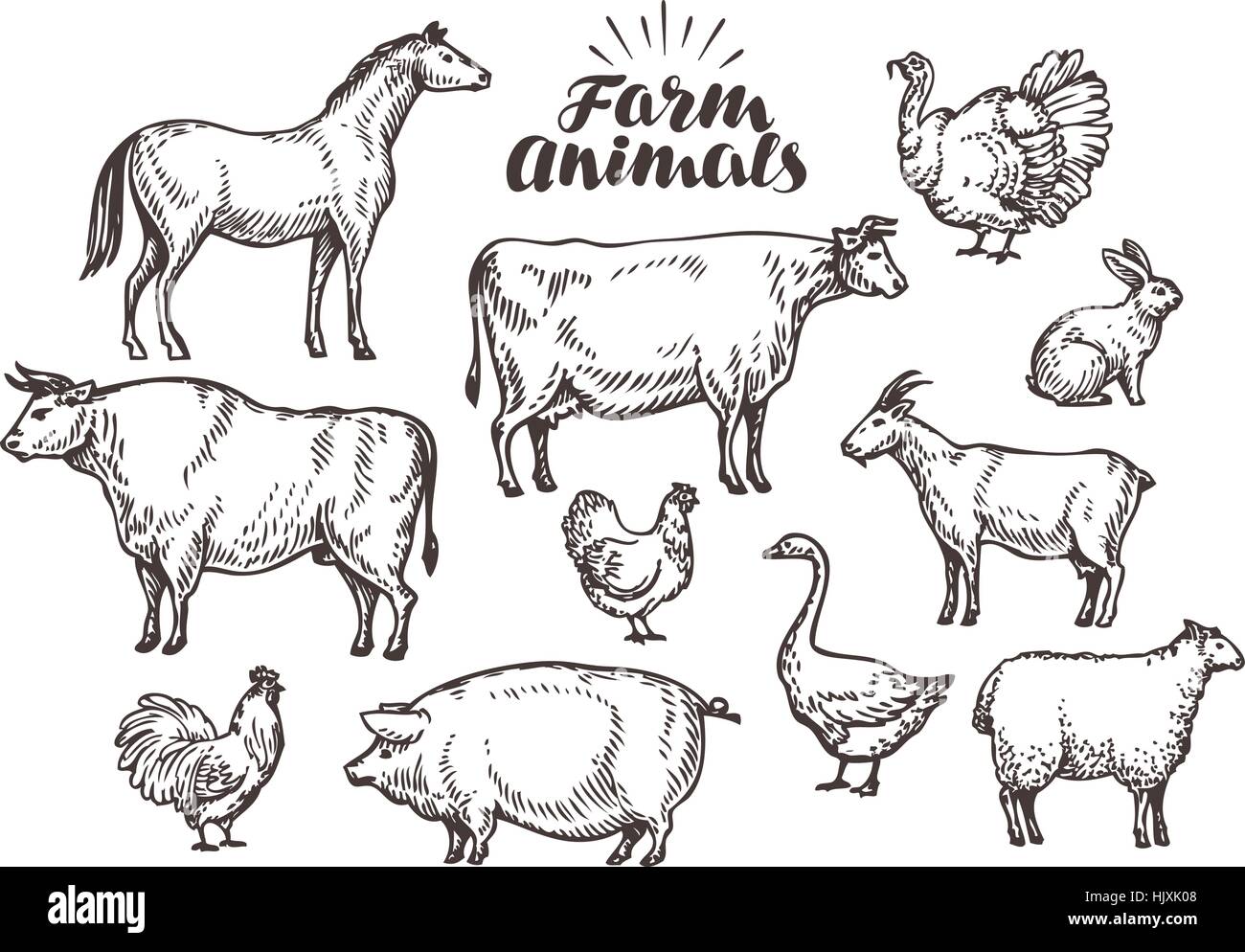 Set di animali da fattoria. Mucca cavallo pollo maiale toro oca pecora capra coniglio gallo Illustrazione Vettoriale