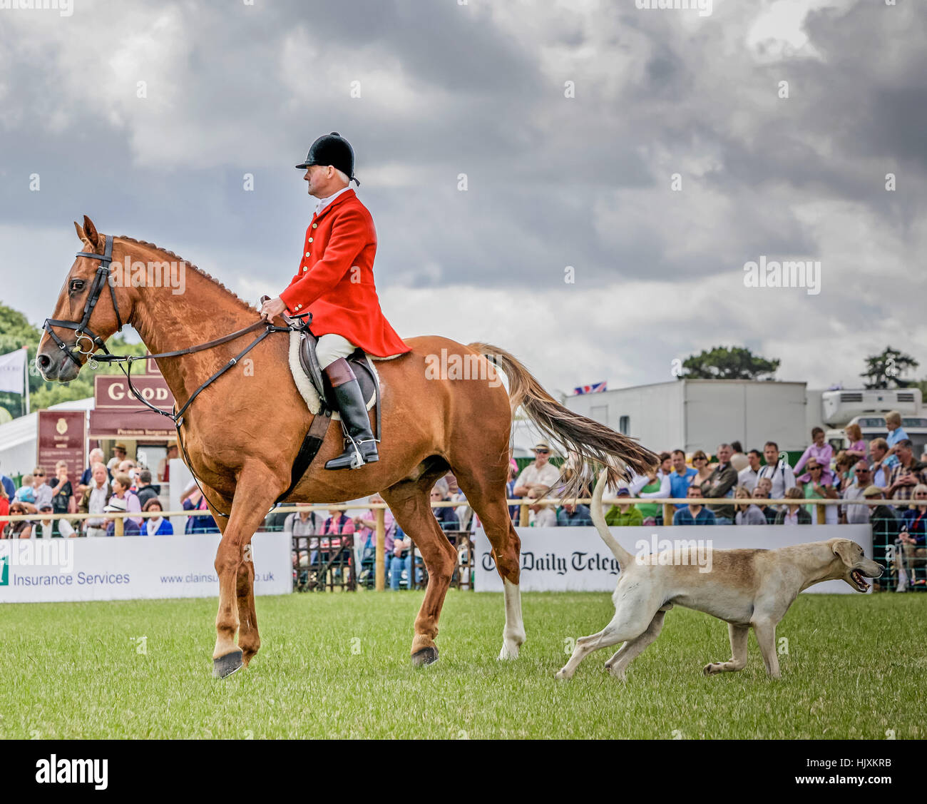 Un tradizionale rosso rivestito huntsman al CLA tenutosi presso il Castello di Belvoir Foto Stock