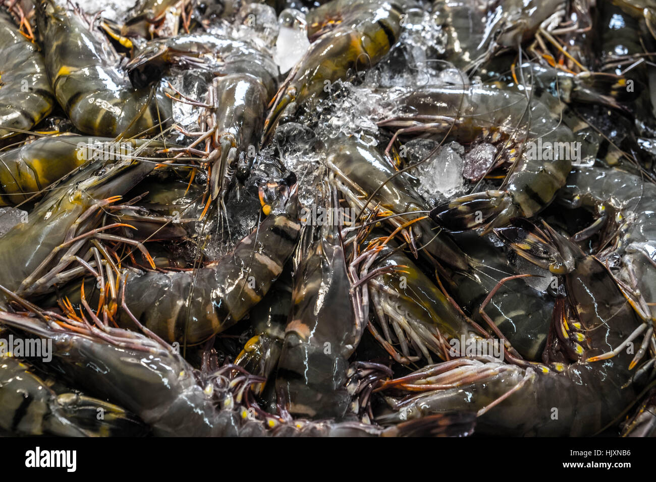 Il gigante fresco gamberoni su ghiaccio su un mercato locale a Bangkok, in Thailandia. Foto Stock