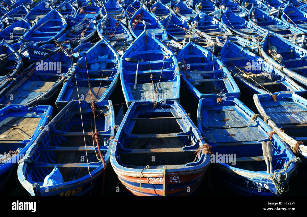 Blu barche da pesca legati insieme nel porto di Essaouira, Marocco Foto Stock