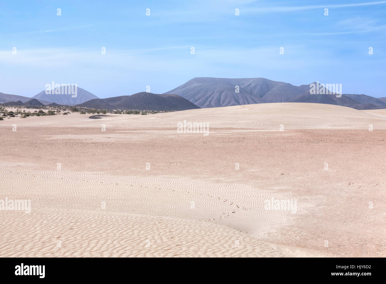 Corralejo parco naturale, Corralejo, Fuerteventura, Isole Canarie, Spagna Foto Stock