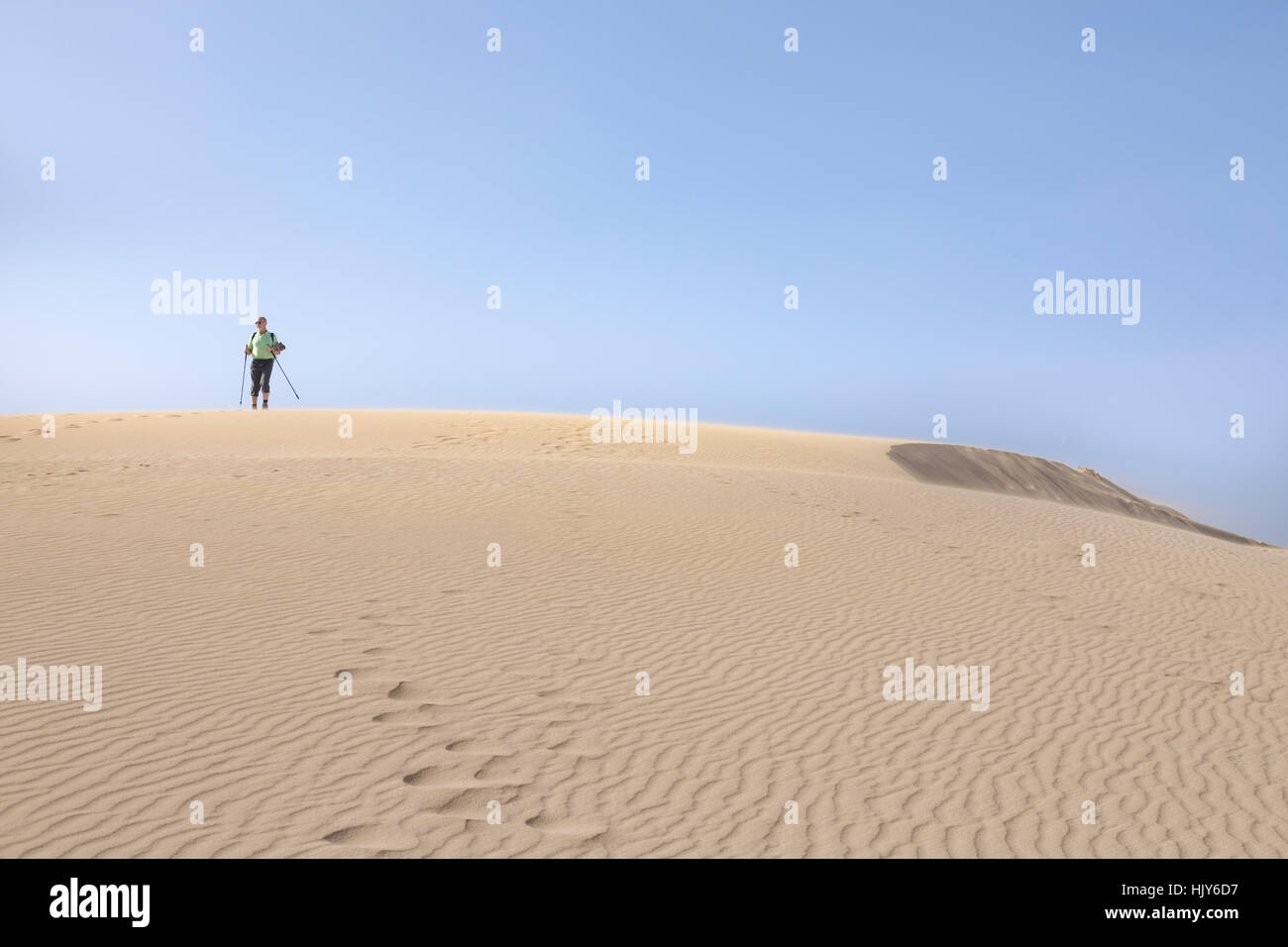 Corralejo parco naturale, Corralejo, Fuerteventura, Isole Canarie, Spagna Foto Stock