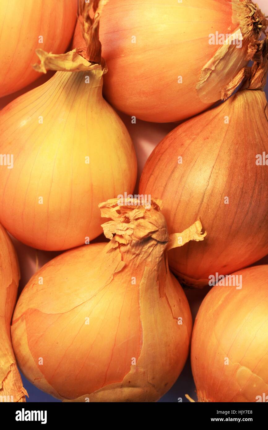 chiudono il cipolle Foto Stock